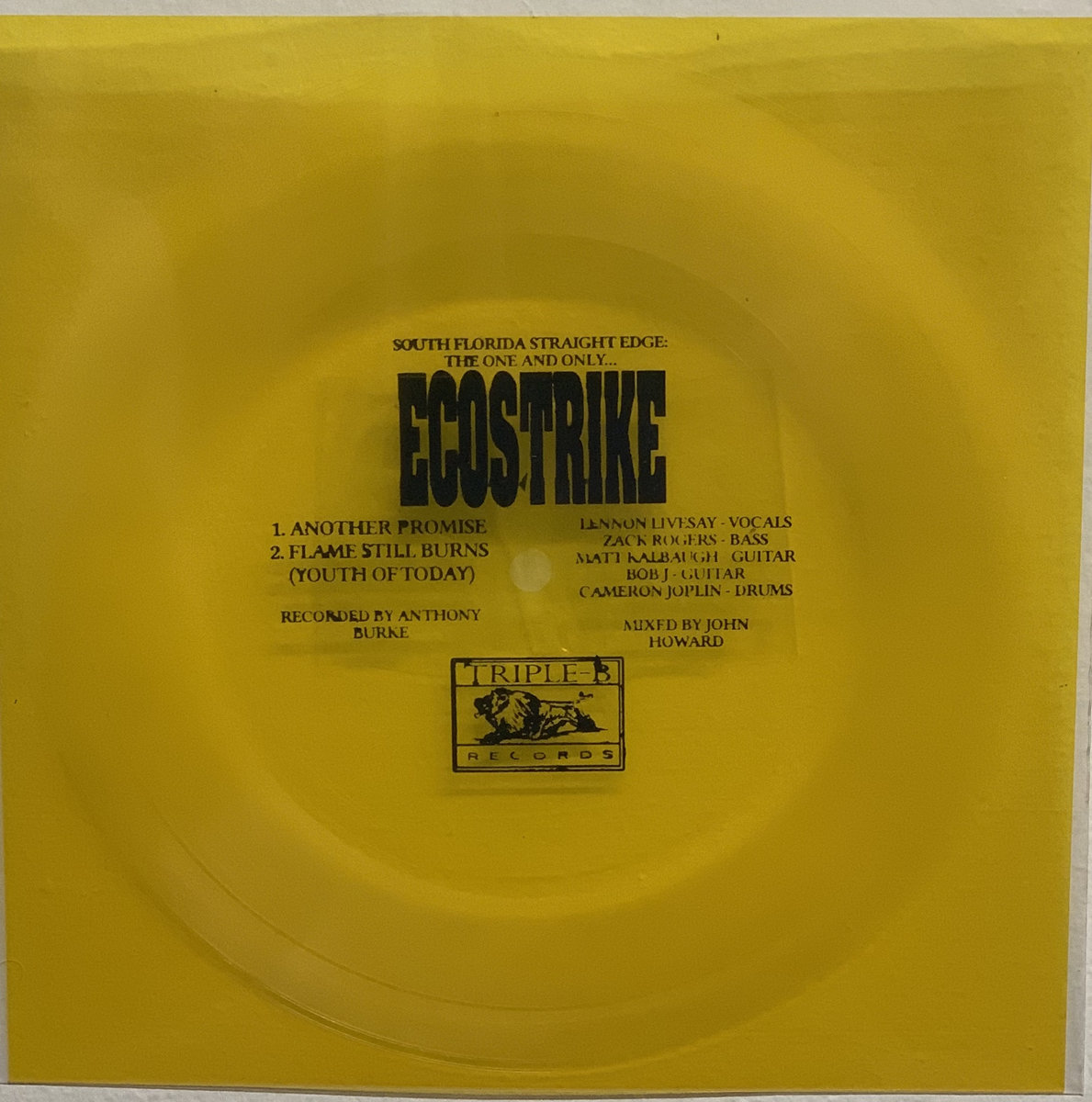 画像1:  ECOSTRIKE / Another promise (flexi) Triple-B 