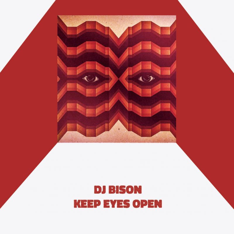 画像1: DJ BISON / Keep eyes open (cd) Royalty club  