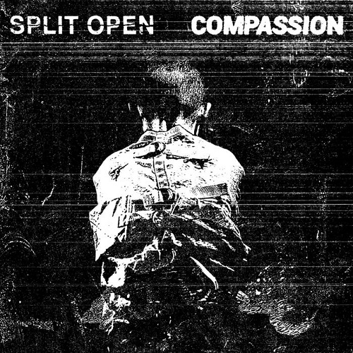 画像1:  SPLIT OPEN, COMPASSION / split (Lp) Rsr 