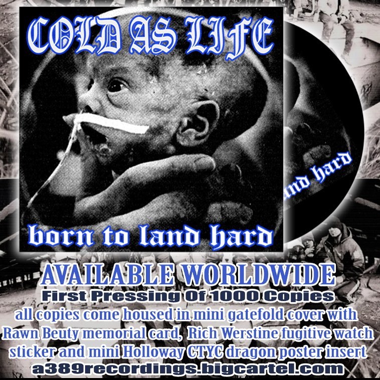 画像2:  COLD AS LIFE / Born to land hard (cd) A389  