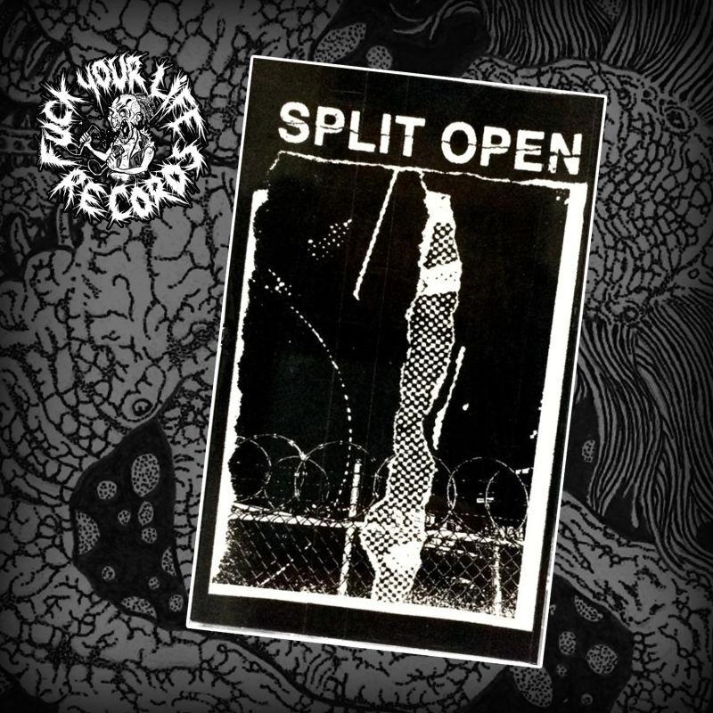 画像1:  SPLIT OPEN / Demo (tape) Fuck your life 