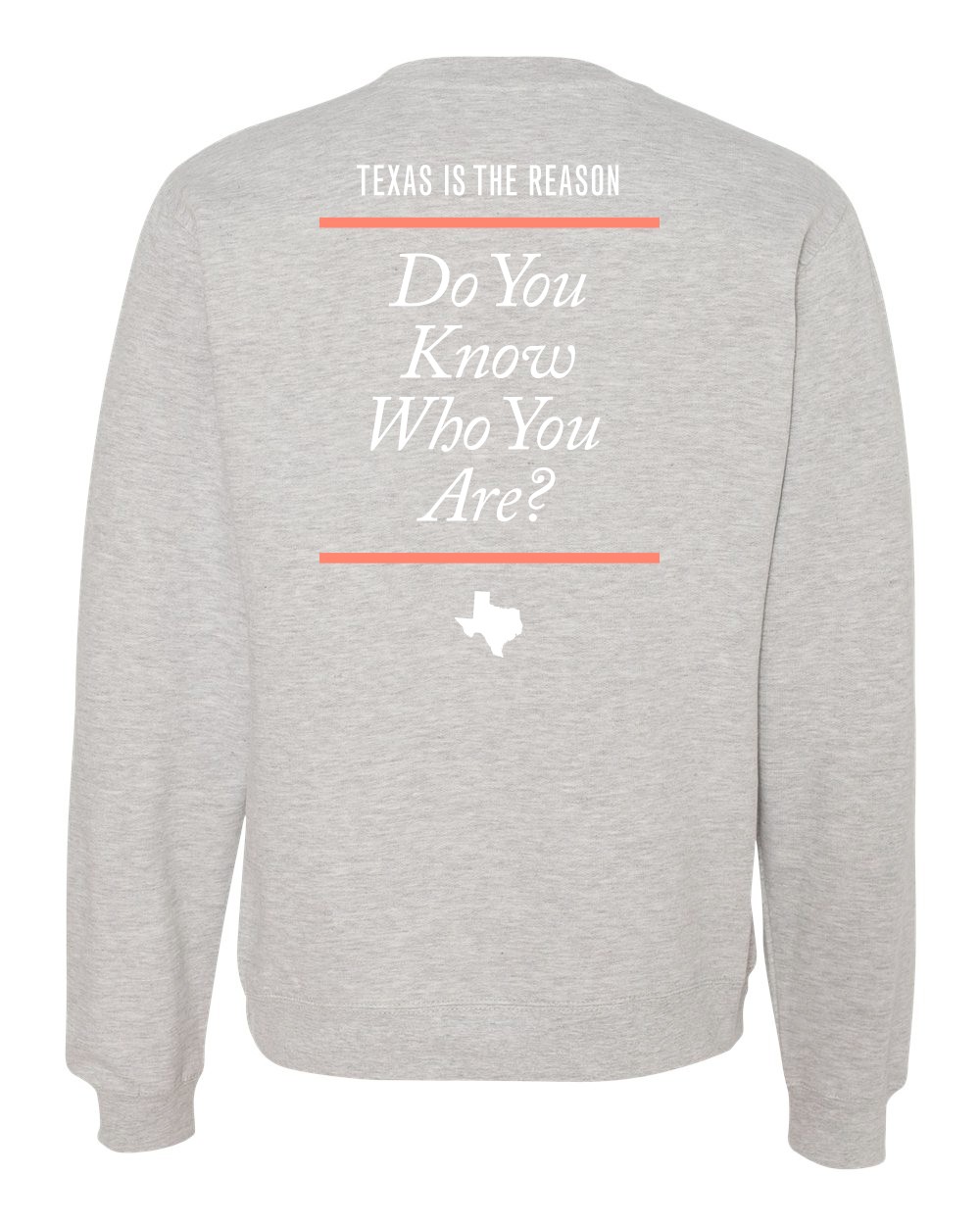 画像3:  TEXAS IS THE REASON / Logo -heather grey- (crew sweatshirt) Revelation   