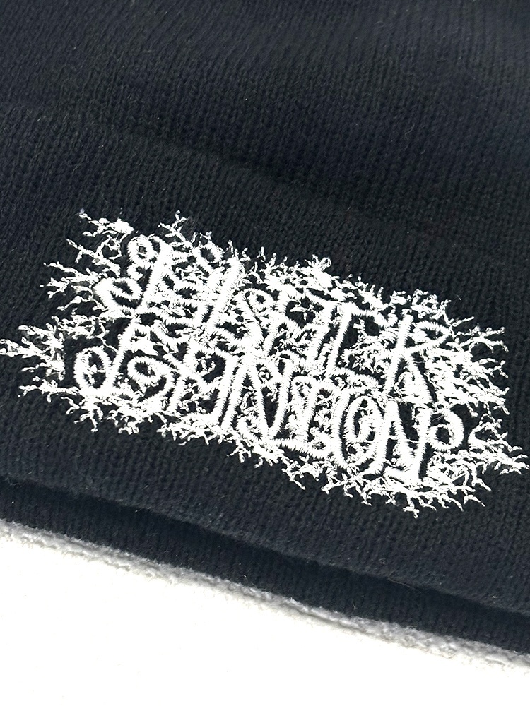 画像2: BLACK GANION / Logo (beanie) 