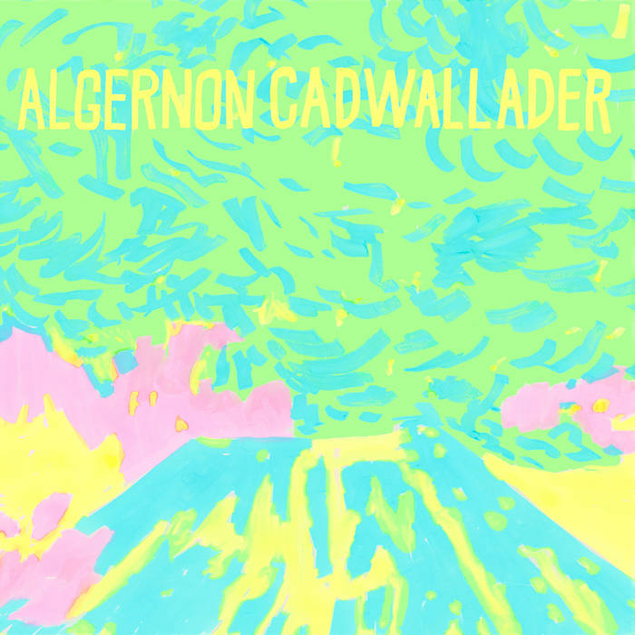 画像1: ■予約商品■ ALGERNON CADWALLADER / Trying not to have a thought (cd) Saddle creek