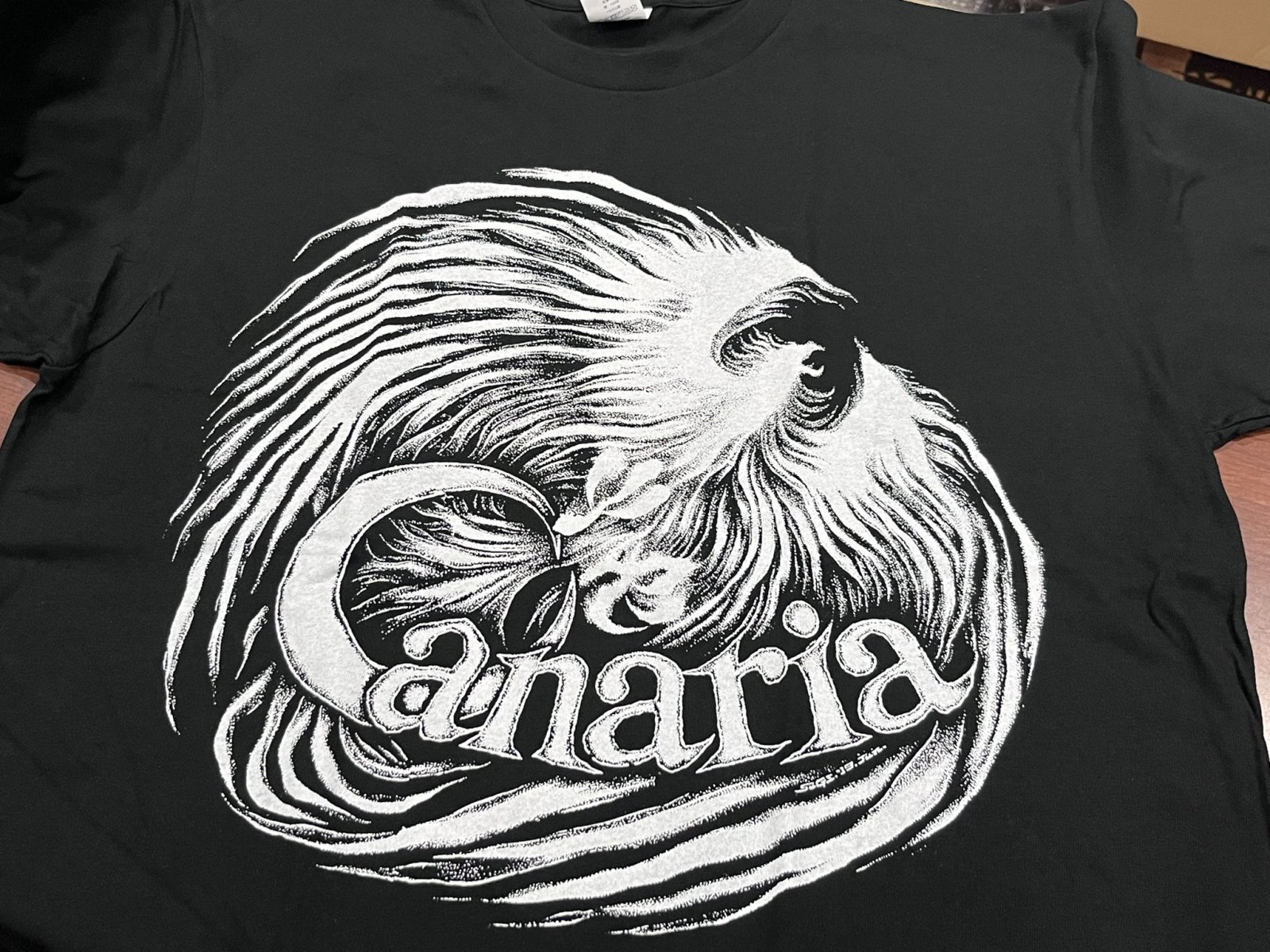 画像1: CANARIA / 死灰復燃 (t-shirt+cdr) 