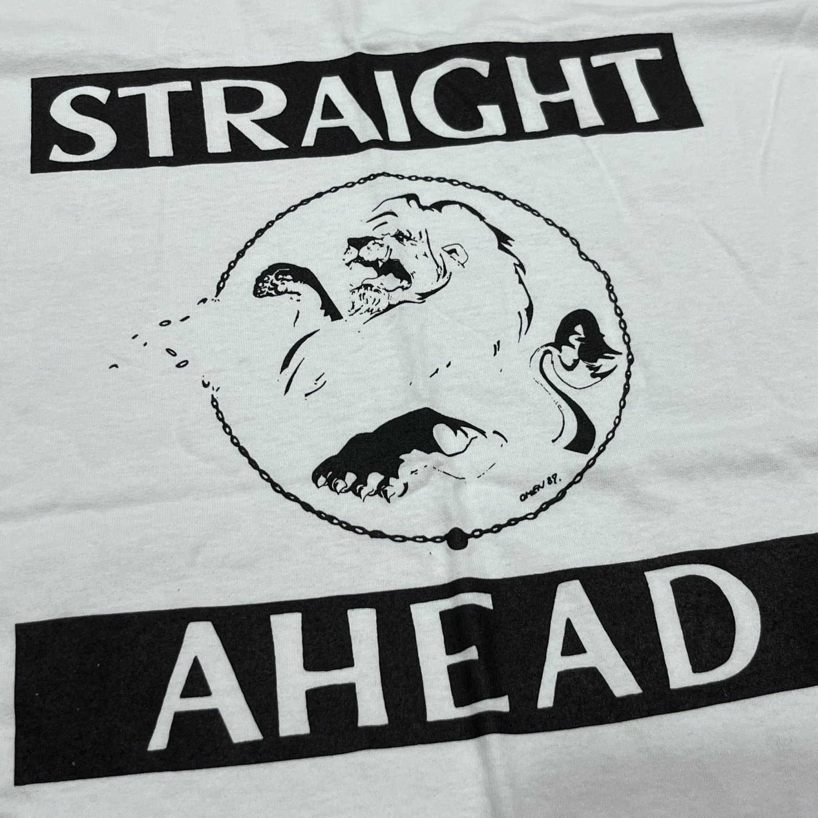 画像3: STRAIGHT AHEAD / Cover white (t-shirt) Revelation 