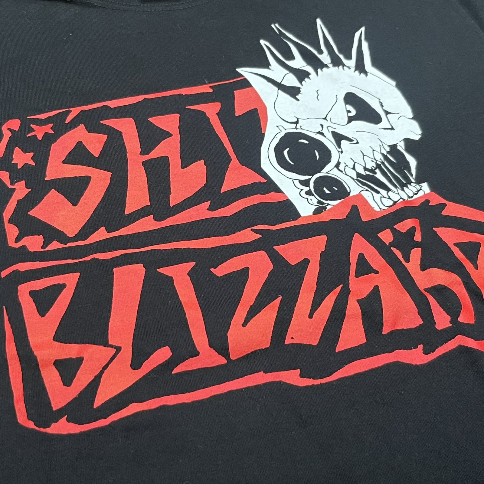 画像2:   SHIT BLIZZARD / Demo (t-shirt)  