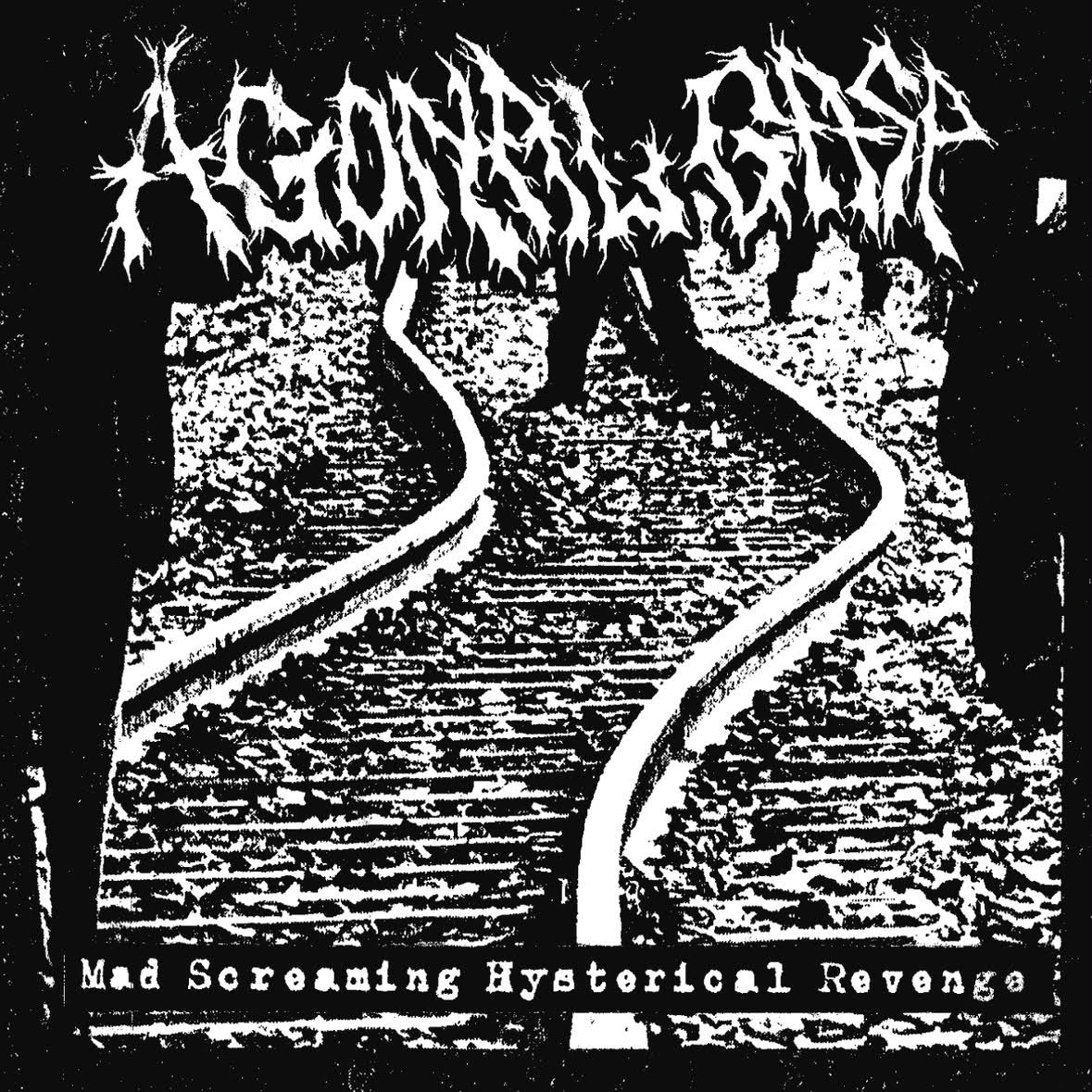 画像1: ■予約商品■ AGONAL GASP / Mad screaming hysterical revenge (cd) Self  