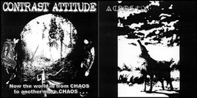 画像1: CONTRAST ATTITUDE, ACROSTIX / split (Lp) Crust War