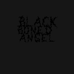 画像1: BLACK BONED ANGEL / Bliss & void inseparable (cd) 20 buck spin